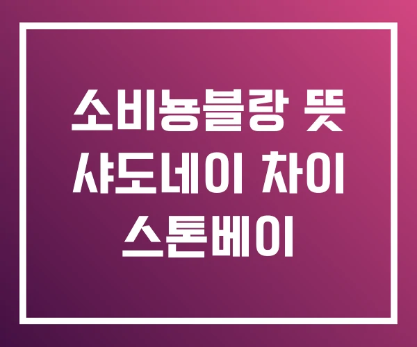 소비뇽블랑 뜻 샤도네이 차이 스톤베이 소비뇽블랑 뜻 샤도네이 차이 스톤베이