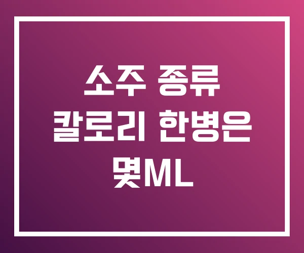 소주 종류 칼로리 한병은 몇ML