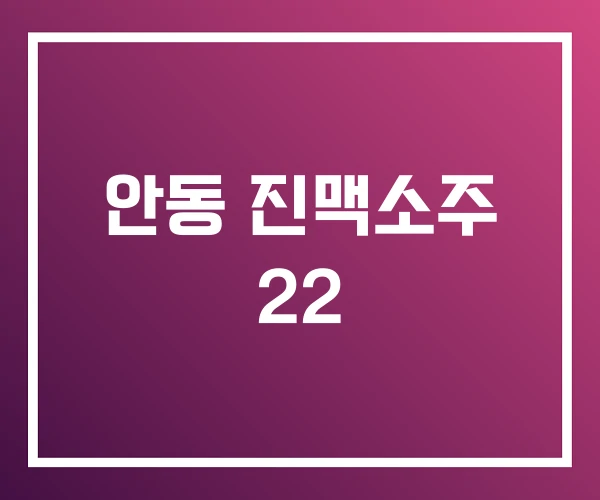 안동 진맥소주 22 안동 진맥소주 22