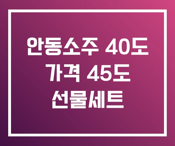 안동소주 40도 가격 45도 선물세트 안동소주 40도 가격 45도 선물세트
