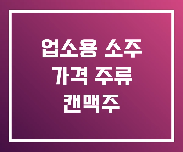 업소용 소주 가격 주류 캔맥주 업소용 소주 가격 주류 캔맥주