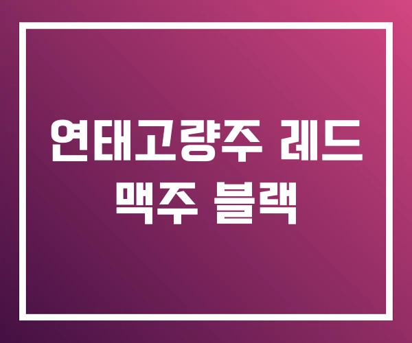 연태고량주 레드 맥주 블랙