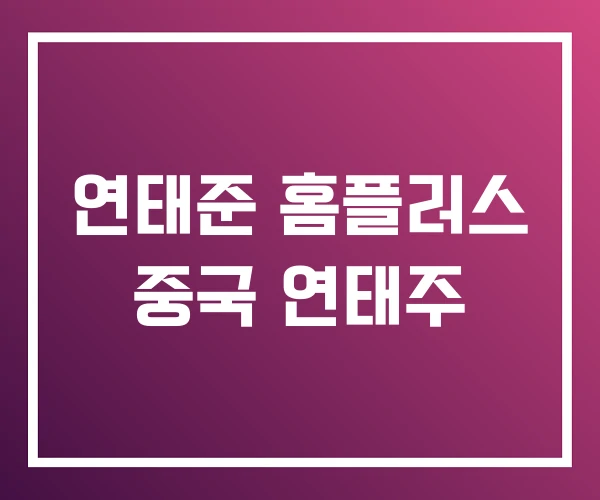 연태준 홈플러스 중국 연태주