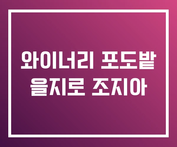 와이너리 포도밭 을지로 조지아