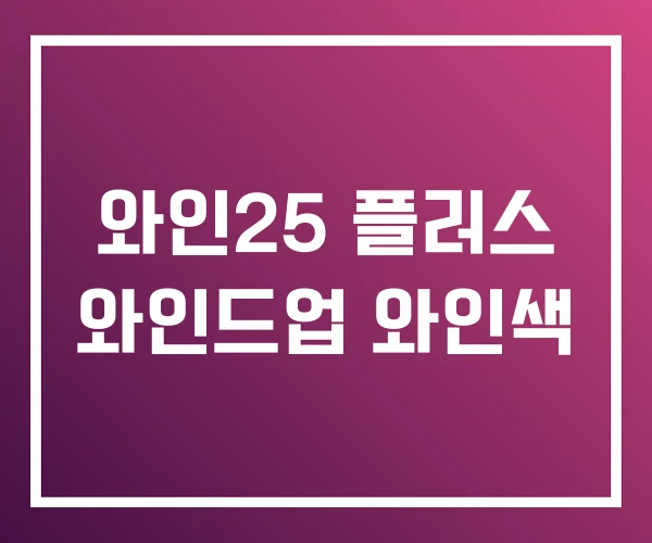 와인25 플러스 와인드업 와인색 와인25 플러스 와인드업 와인색