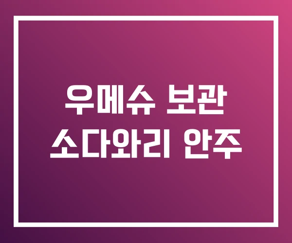 우메슈 보관 소다와리 안주 우메슈 보관 소다와리 안주