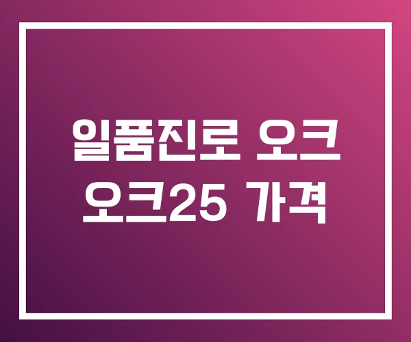 일품진로 오크 오크25 가격