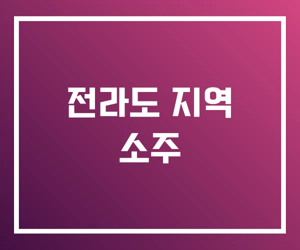 전라도 지역 소주