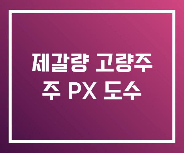 제갈량 고량주 주 PX 도수