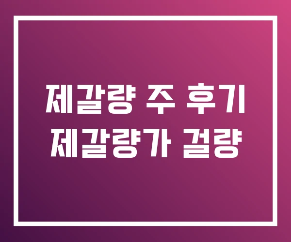 제갈량 주 후기 제갈량가 걸량