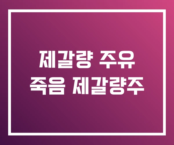 제갈량 주유 죽음 제갈량주
