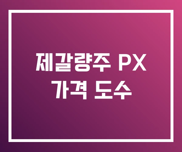 제갈량주 PX 가격 도수