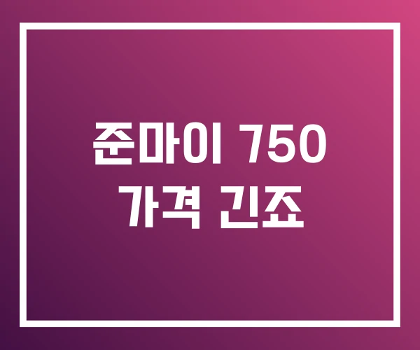 준마이 750 가격 긴죠