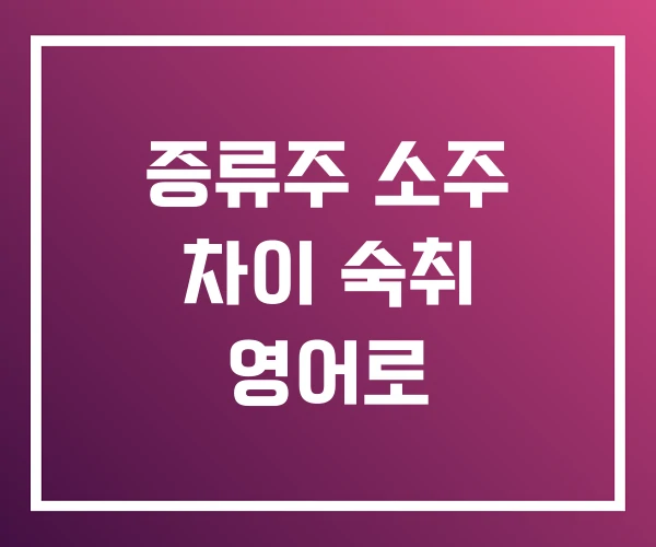 증류주 소주 차이 숙취 영어로 증류주 소주 차이 숙취 영어로