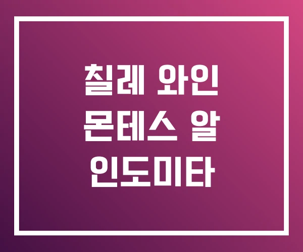 칠레 와인 몬테스 알 인도미타