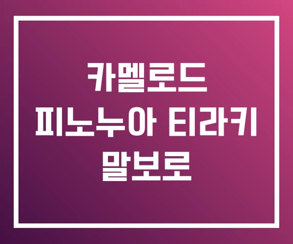 카멜로드 피노누아 티라키 말보로