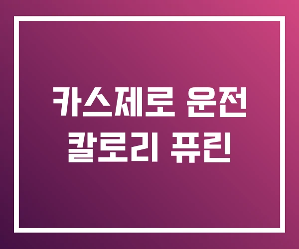 카스제로 운전 칼로리 퓨린