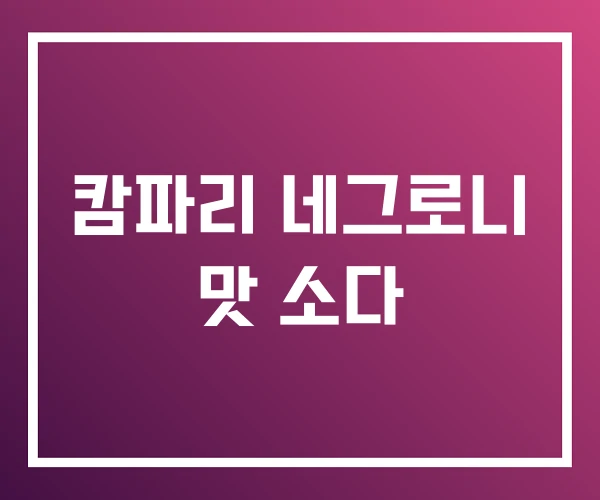 캄파리 네그로니 맛 소다