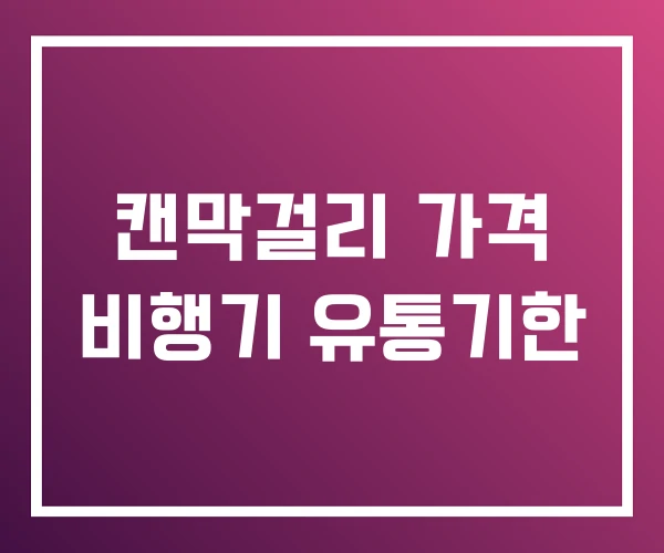 캔막걸리 가격 비행기 유통기한