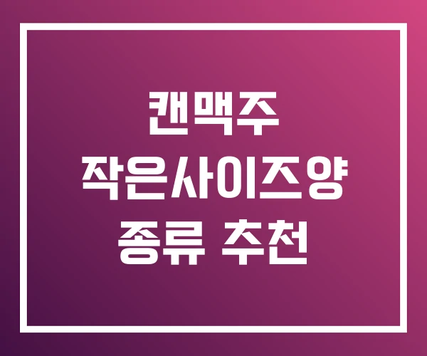캔맥주 작은사이즈양 종류 추천