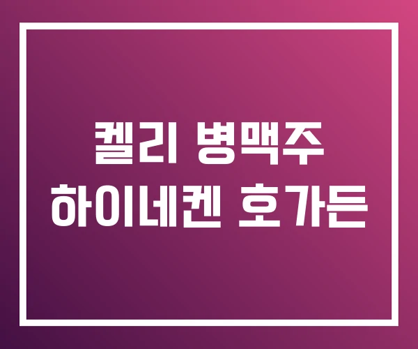 켈리 병맥주 하이네켄 호가든