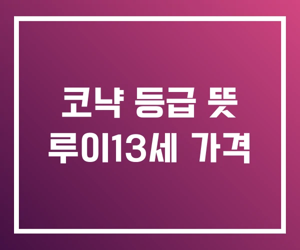 코냑 등급 뜻 루이13세 가격 코냑 등급 뜻 루이13세 가격