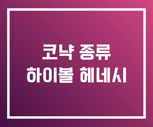 코냑 종류 하이볼 헤네시