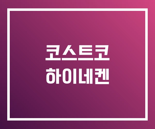 코스트코 하이네켄