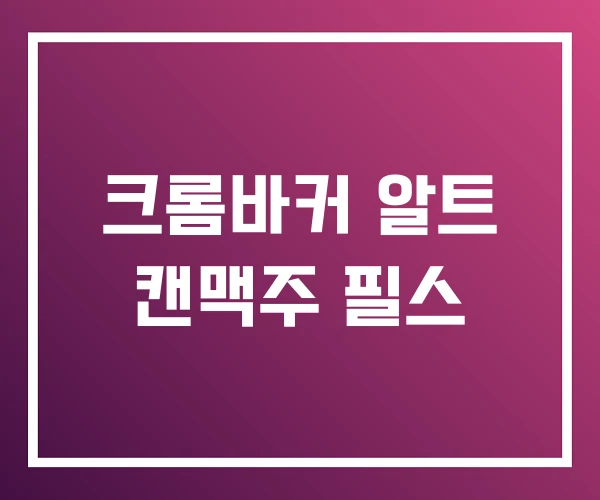 크롬바커 알트 캔맥주 필스