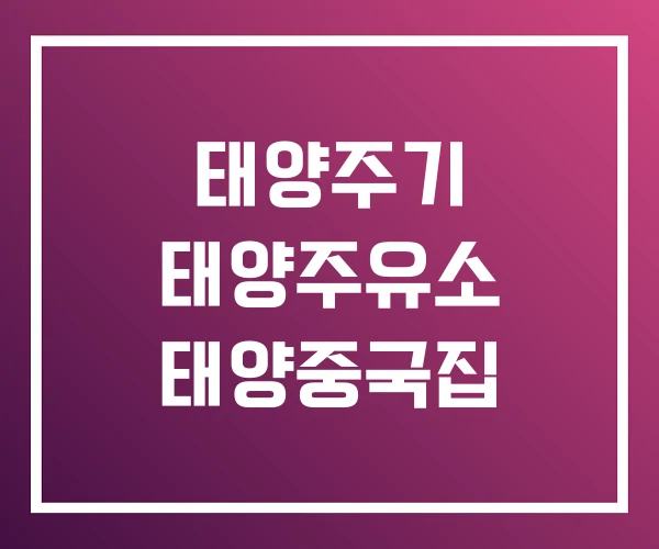 태양주기 태양주유소 태양중국집