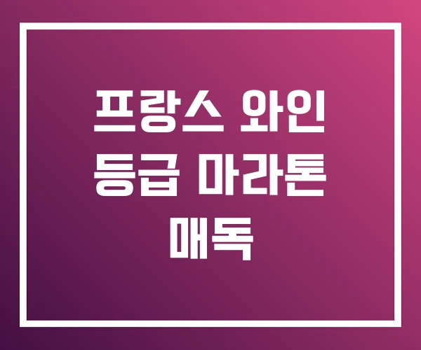 프랑스 와인 등급 마라톤 매독