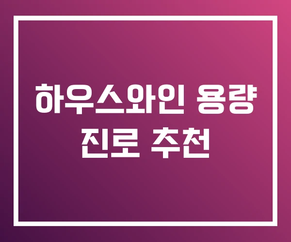 하우스와인 용량 진로 추천 하우스와인 용량 진로 추천