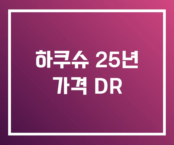 하쿠슈 25년 가격 DR
