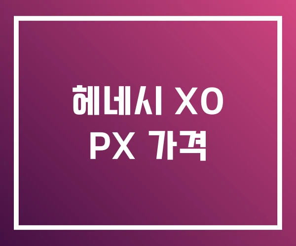 헤네시 XO PX 가격 헤네시 XO PX 가격