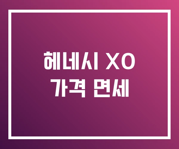 헤네시 XO 가격 면세 헤네시 XO 가격 면세