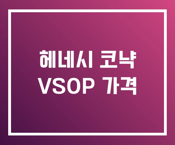 헤네시 코냑 VSOP 가격 헤네시 코냑 VSOP 가격