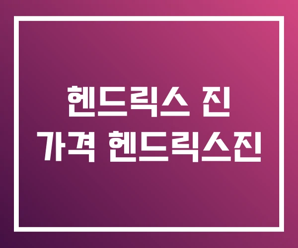 헨드릭스 진 가격 헨드릭스진