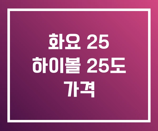 화요 25 하이볼 25도 가격 화요 25 하이볼 25도 가격