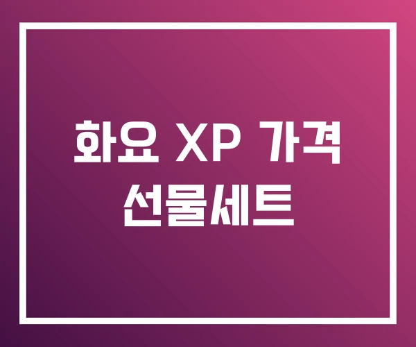 화요 XP 가격 선물세트