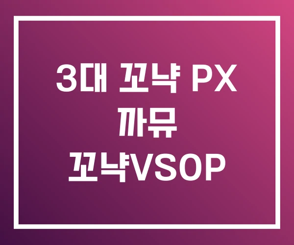 3대 꼬냑 PX 까뮤 꼬냑VSOP
