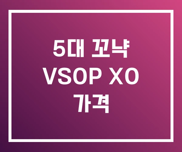 5대 꼬냑 VSOP XO 가격