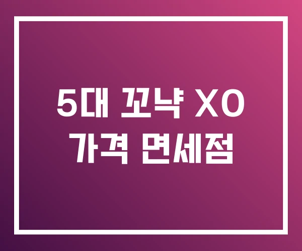 5대 꼬냑 XO 가격 면세점