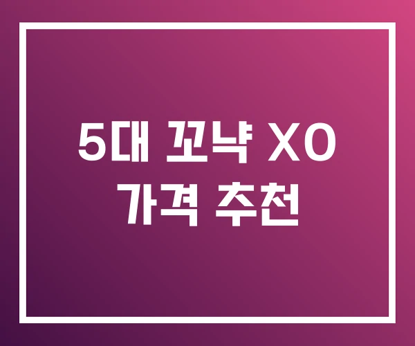 5대 꼬냑 XO 가격 추천 5대 꼬냑 XO 가격 추천