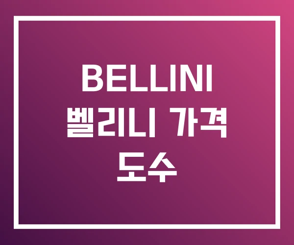 BELLINI 벨리니 가격 도수