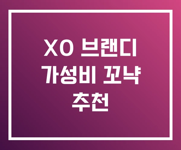 XO 브랜디 가성비 꼬냑 추천