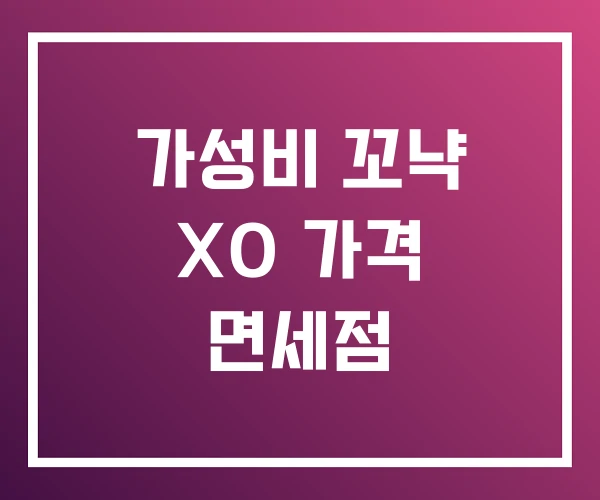 가성비 꼬냑 XO 가격 면세점
