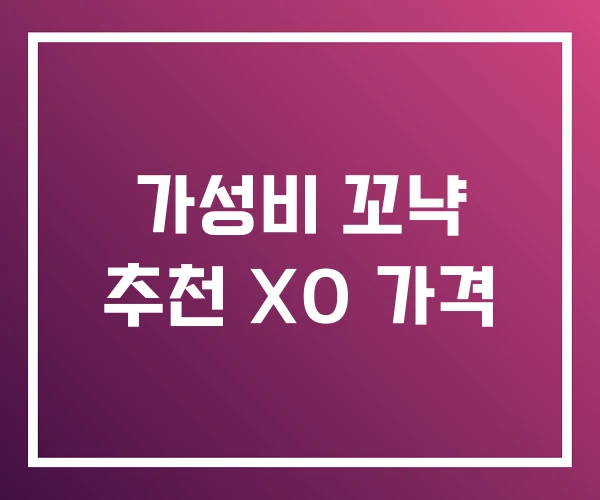 가성비 꼬냑 추천 XO 가격