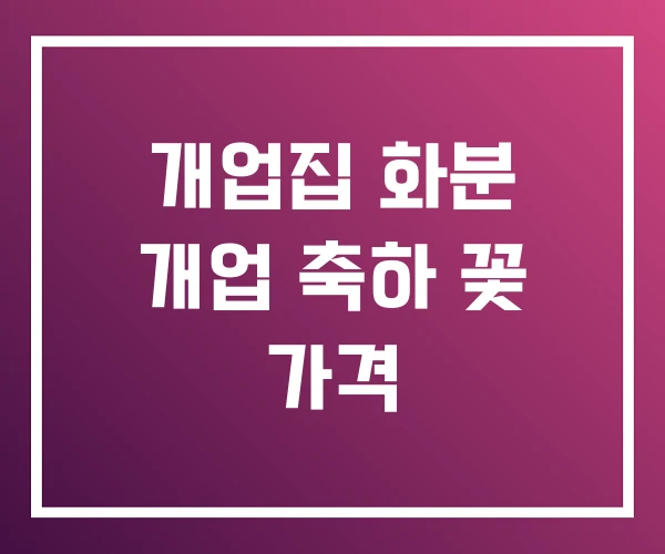 개업집 화분 개업 축하 꽃 가격 개업집 화분 개업 축하 꽃 가격
