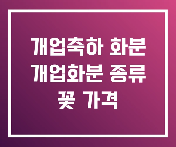 개업축하 화분 개업화분 종류 꽃 가격