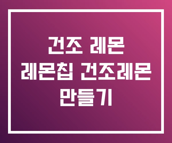 건조 레몬 레몬칩 건조레몬 만들기 건조 레몬 레몬칩 건조레몬 만들기